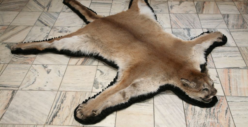 Polityka prywatności